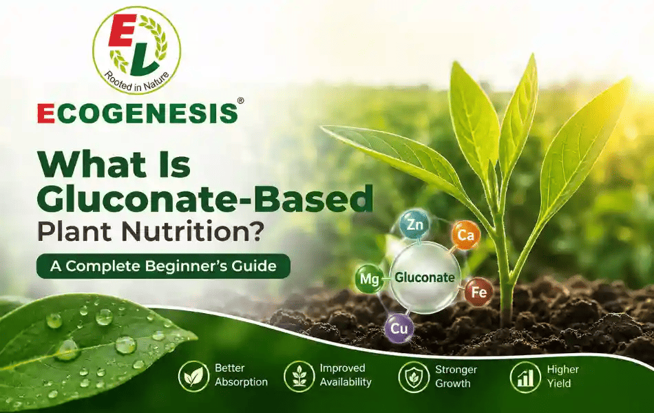 What Is Gluconate-Based Plant Nutrition? A Complete Beginner’s Guide