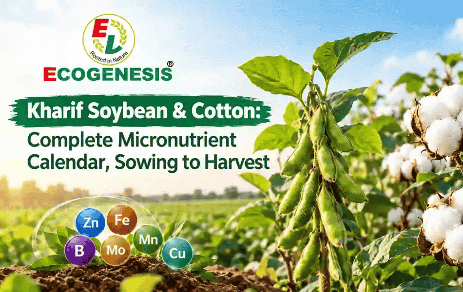 Kharif Soybean & Cotton: Complete Micronutrient Calendar, Sowing to Harvest