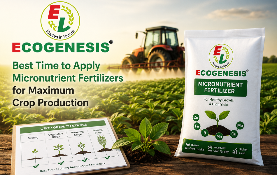 Best Time to Apply Micronutrient Fertilizers for Maximum Crop Production